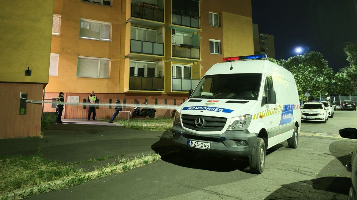 Agyonverték az idős nyomdászt Szombathelyen - videó