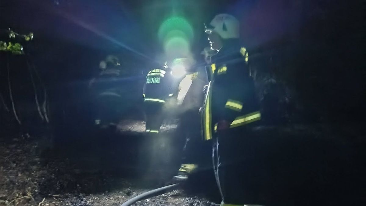 Tűz a Kőszegi-hegységben: drámai felvételek a helyszínről