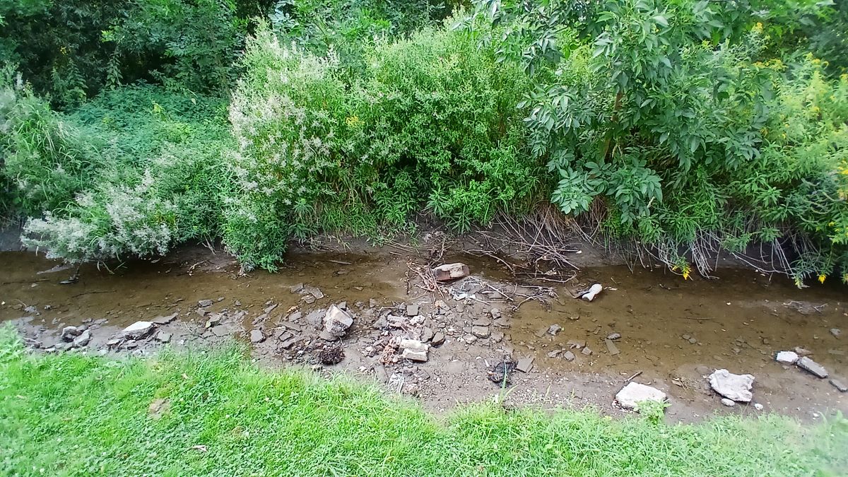 Miközben kiszárad a Gyöngyös, van, aki a gyepét locsolja belőle - fotók