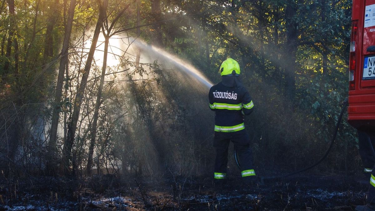Az erdőre is átterjedtek a lángok Alsóújlaknál