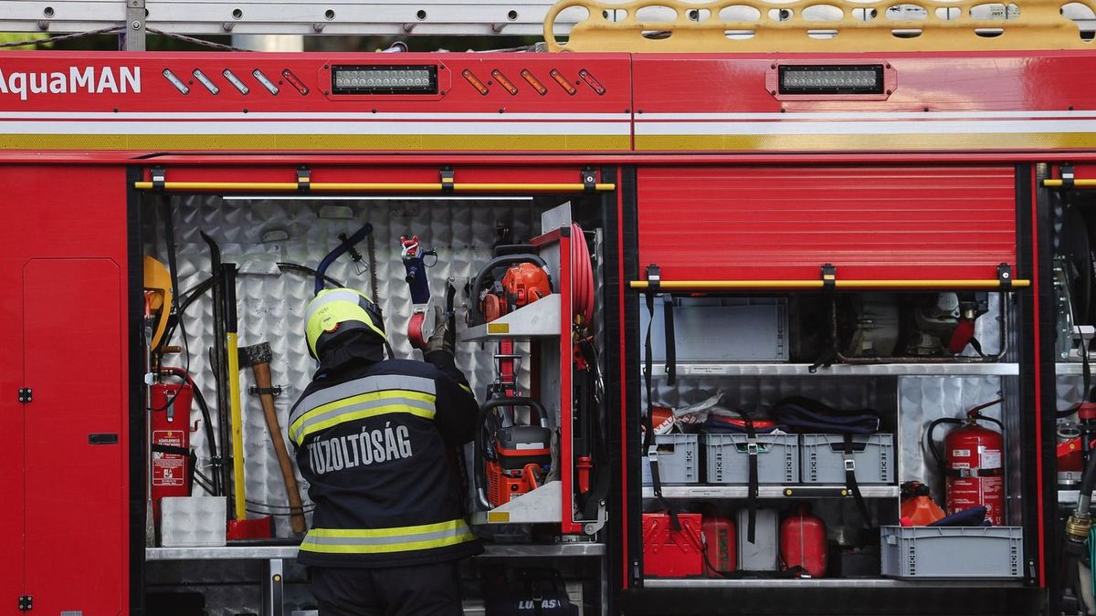 Lángok csaptak fel a 8-as főút mellett