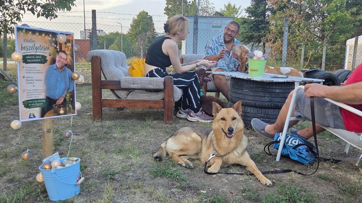Kutyás estnek indult, hajnalig tartó közösségi program lett belőle