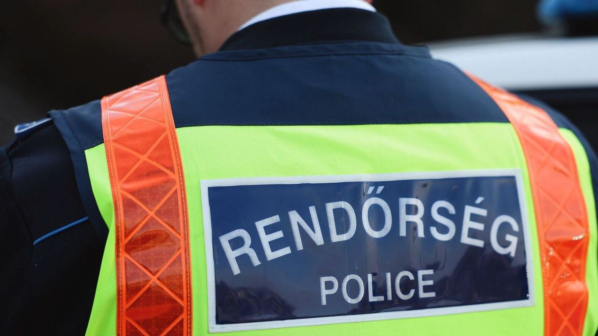 Lecsaptak a rendőrök a vasi férfira, komoly balhé lett a vége