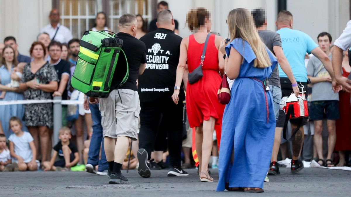 Megcsípte a darázs, allergiás sokkot kapott a karneválon - rohantak a mentők