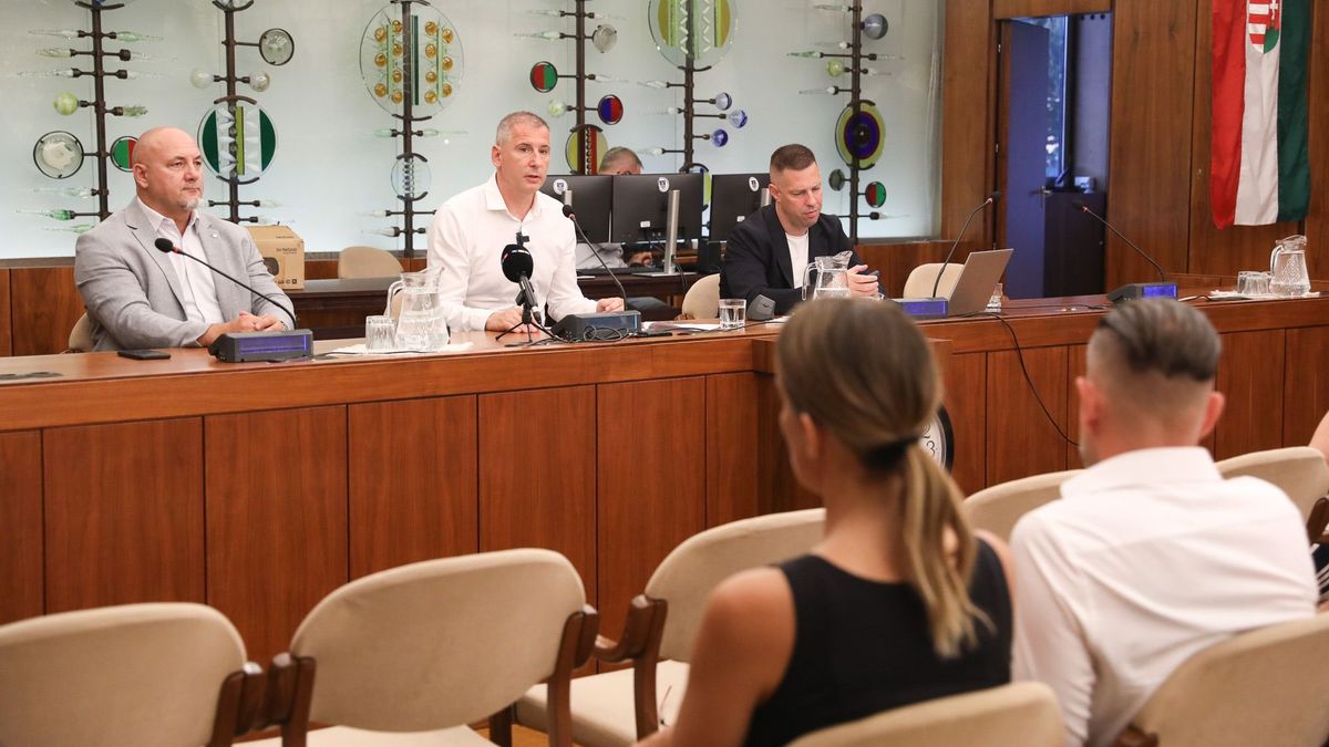 Dr. Nemény András: "Az azbesztet fedjük le, nem a problémát"