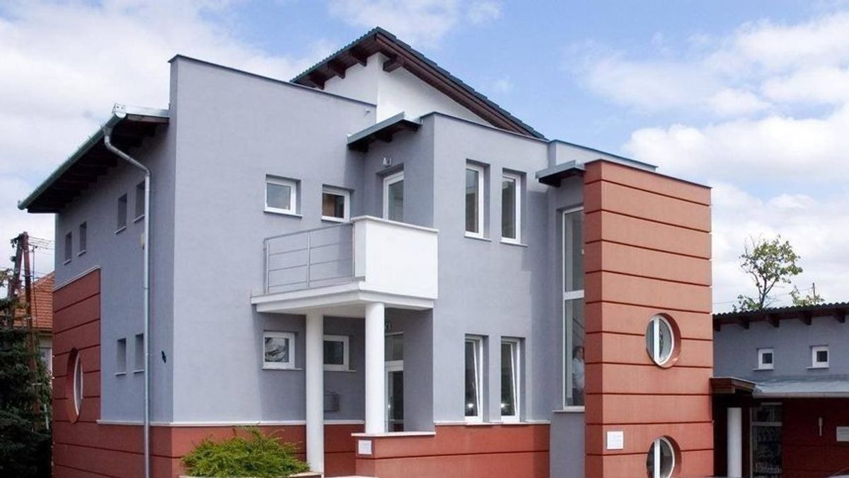 Különleges beavatkozás volt a szombathelyi állatkórházban - végül mindenki megúszta élve