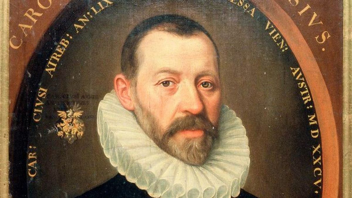 Ő adta nekünk a sárga sásliliomot is - A nagy flamand tudós és vasi barátai a Savaria Múzeumban
