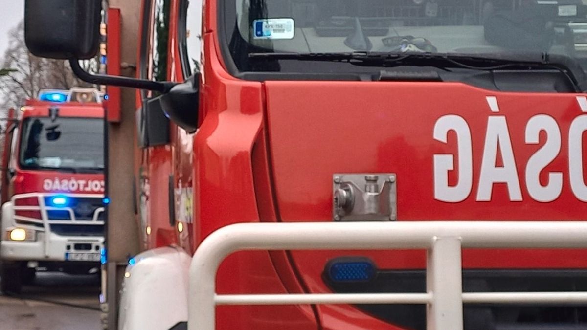 Kisbusz gyulladt ki az M85-ön
