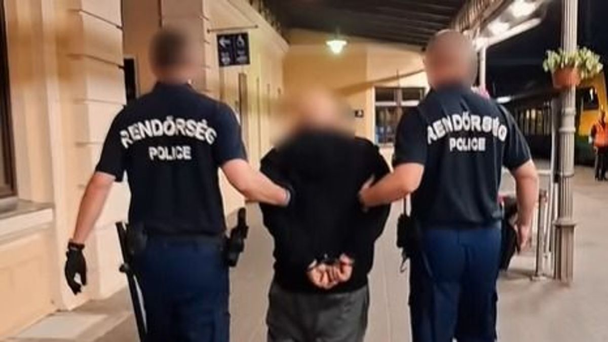 Rendőrségi rajtaütés volt a szombathelyi vasútállomáson - videó