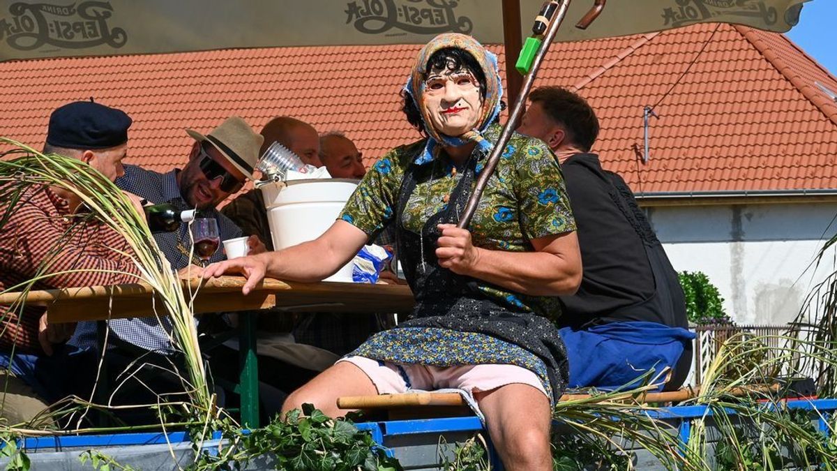 Programajánló: Szüretek, erdők éjszakája és kertmozi – Vas megye minden szegletéből hoztunk programokat