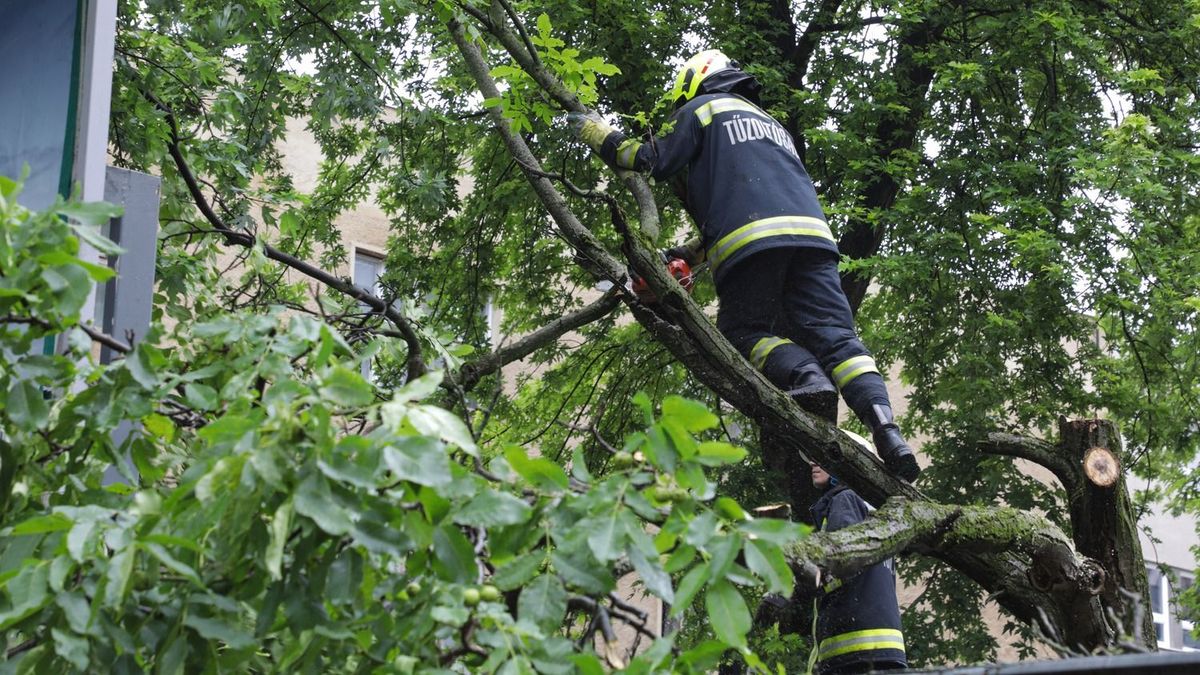 Fenyőfa dőlt az útra Gersekarát közelében