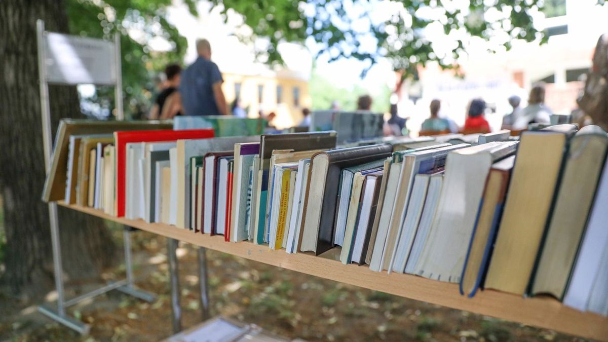 Ma van az Olvasás világnapja! - Ezeket a köteteket ajánlják olvasóink!