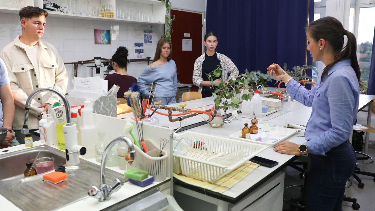 Tudomány testközelből - ilyen volt a kutatók éjszakája az egyetemen - fotók