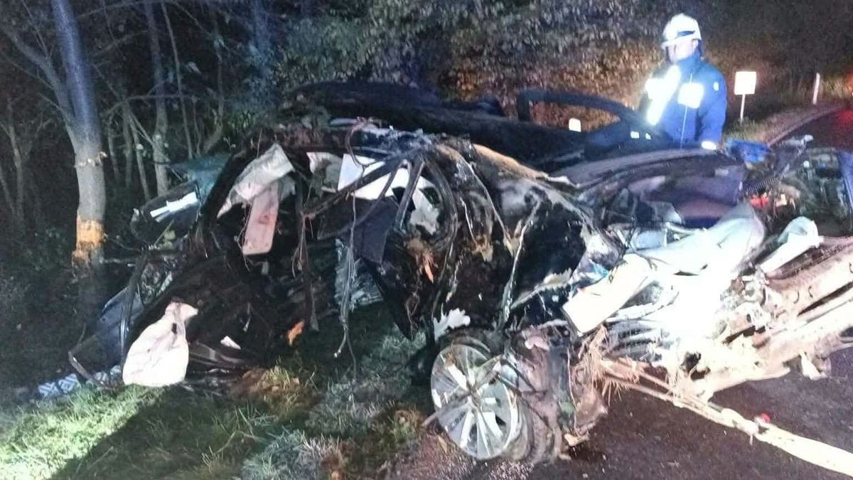 Szörnyethalt két fiatal, amikor fának csapódtak autóval, esélyük sem volt túlélni