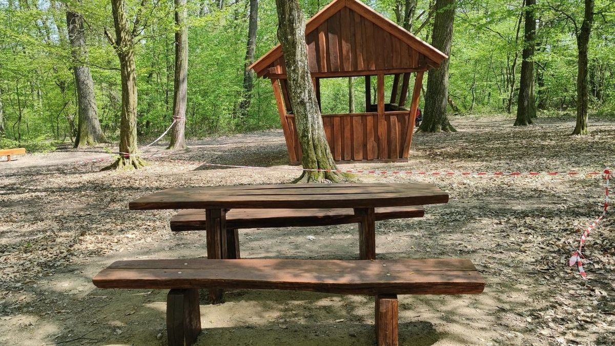 Lezárják a turisták kedvenc helyét Vasban - Ezeknek az erdőknek a közelébe sem lehet menni
