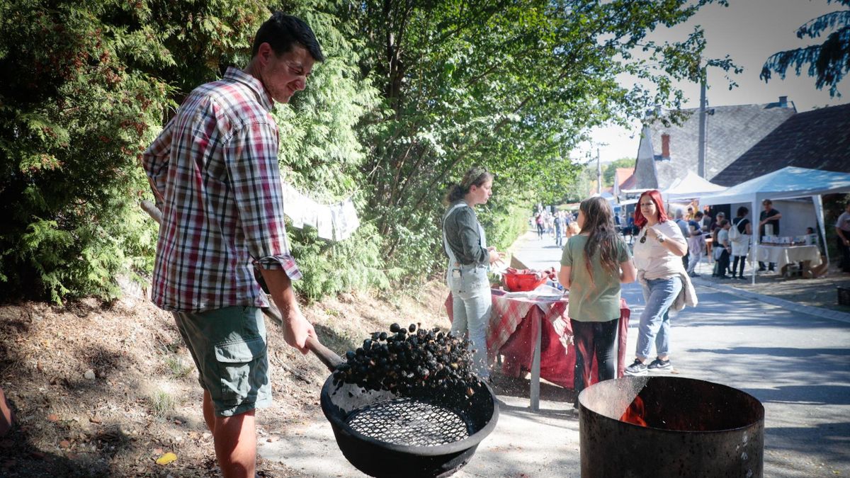 Dudaszóval, gesztenyével és középkori hangulattal telt meg Cák - fotók