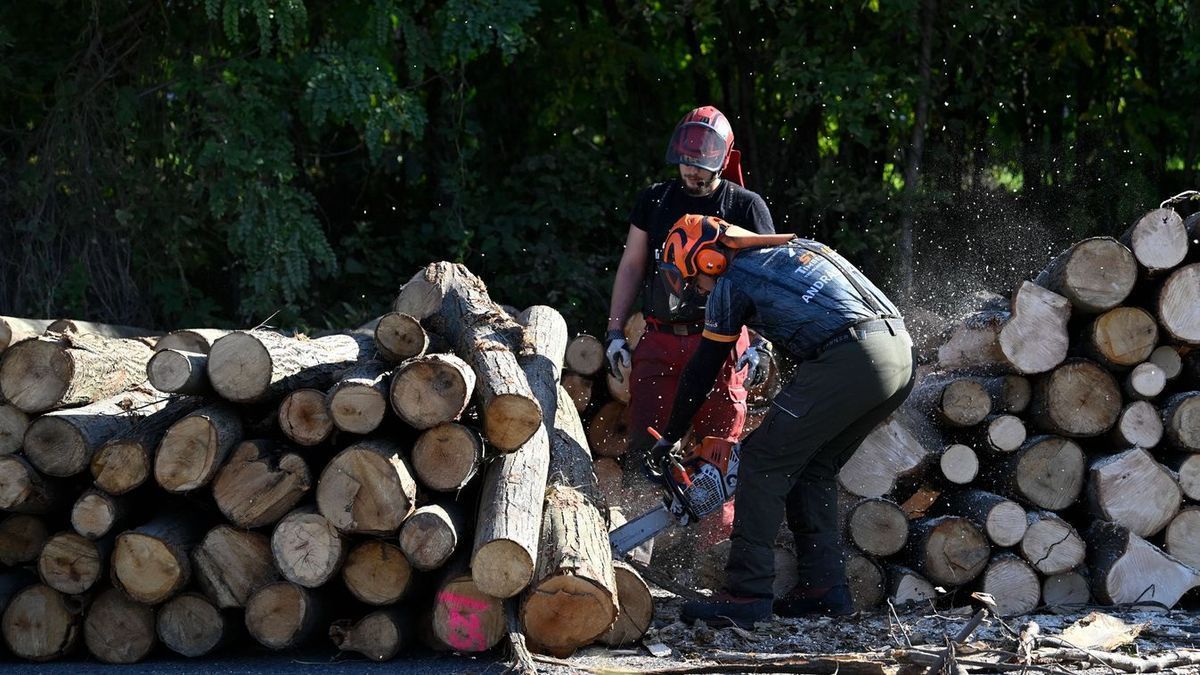 A tűzifa ára nem csökkent, csak az áfa? Megoldjuk okosba - ezek a trükkök működnek