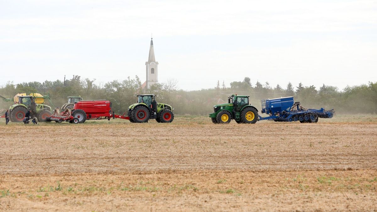No-till Olimpa Vasszilvágyon - a költségcsökkentés lehet a túlélés kulcsa a brutális aszályok idején