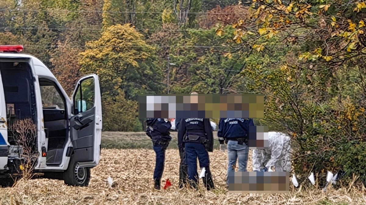 Megerősítette a rendőrség: Lopott, bankautomata-robbantáshoz használt autót találtak Szombathely határában - mutatjuk a részleteket